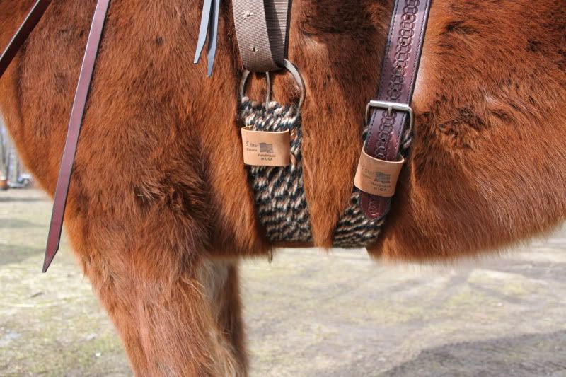 Double Roping Cinch The Horse Forum